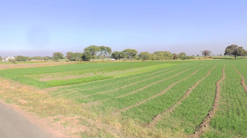 Ant, Madhya Pradesh 455001, India