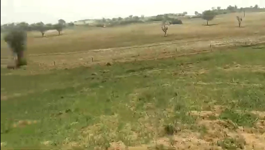 Rooplisar, Churu, Rajasthan 331022, India