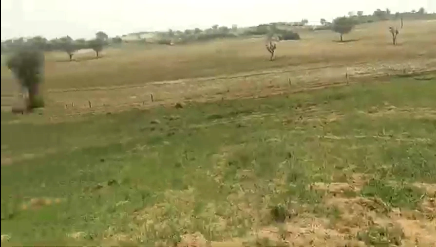 Rooplisar, Churu, Rajasthan 331022, India