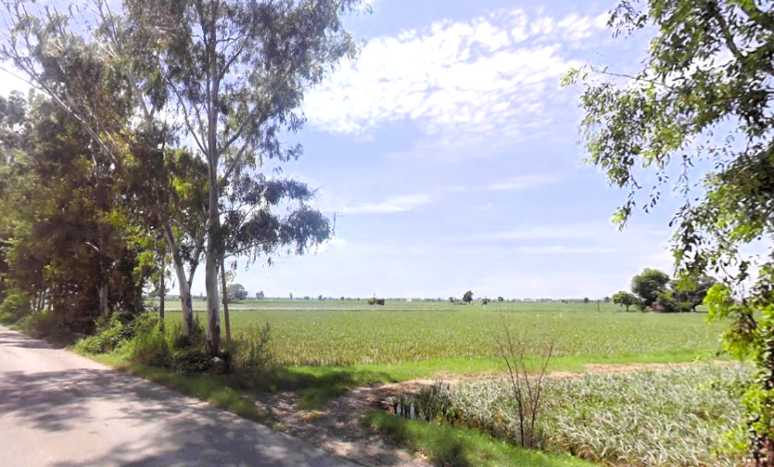 Q3CP+VVP, Salarpura, Haryana 132023, India