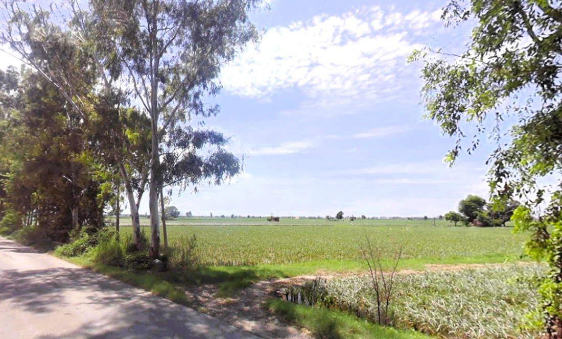 Q3CP+VVP, Salarpura, Haryana 132023, India