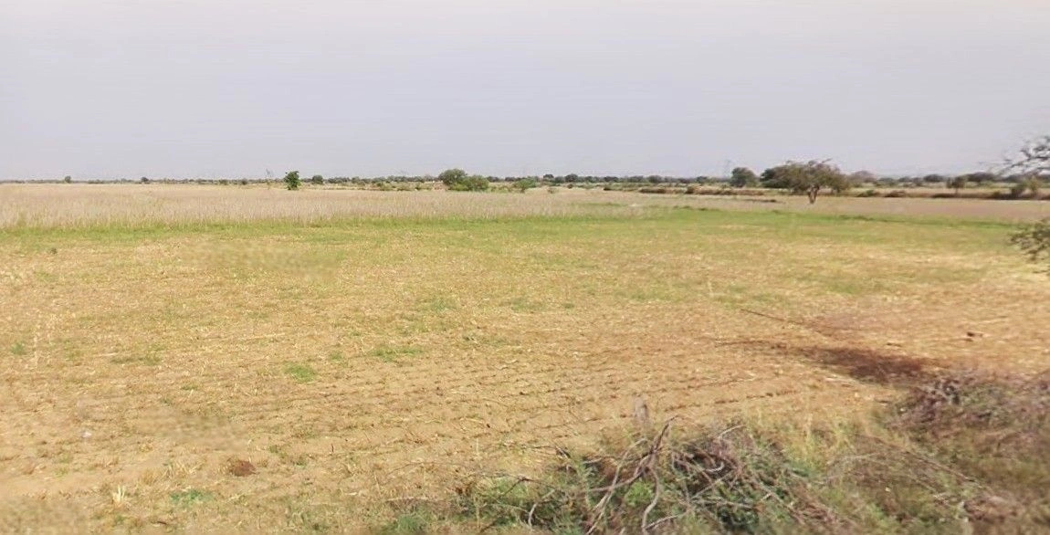 Bazpur, Uttarakhand 262401, India preview 2