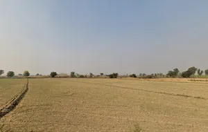 W8HH+6H9, Balamba, Mahamrural, Haryana 124112, India preview 2