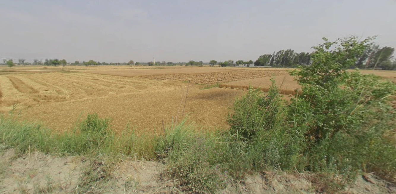 Gabhana, Uttar Pradesh 202136, India