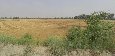 Gabhana, Uttar Pradesh 202136, India preview 3