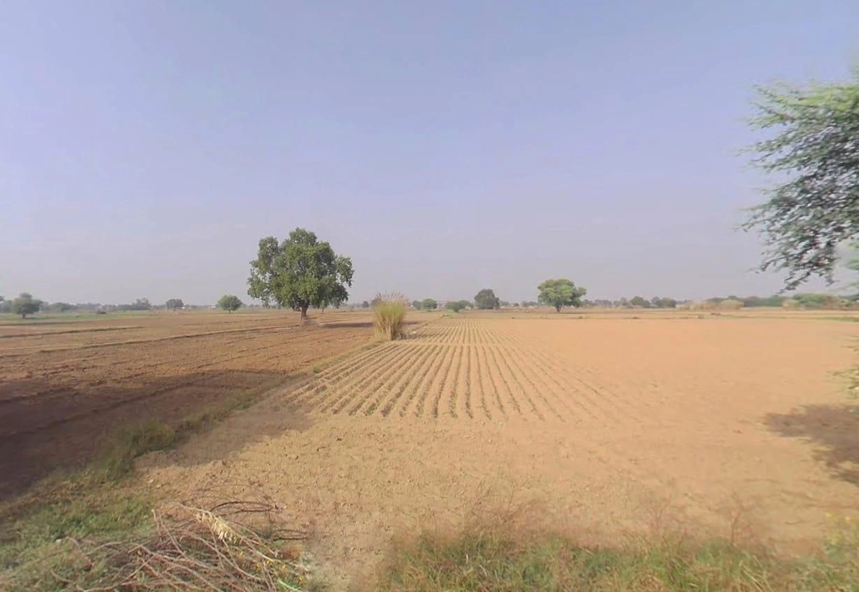 WJG3+V8W, Sihali Kalan, Rajasthan 301401, India preview 3