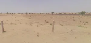 Husangsar, Rajasthan 334022, India preview 2