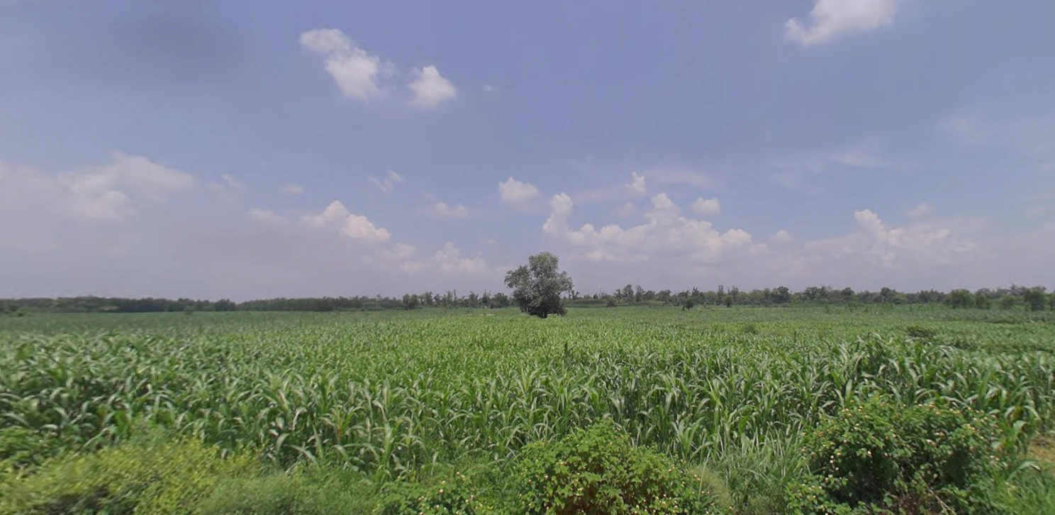 Chhutmalpur, Uttar Pradesh 247662, India