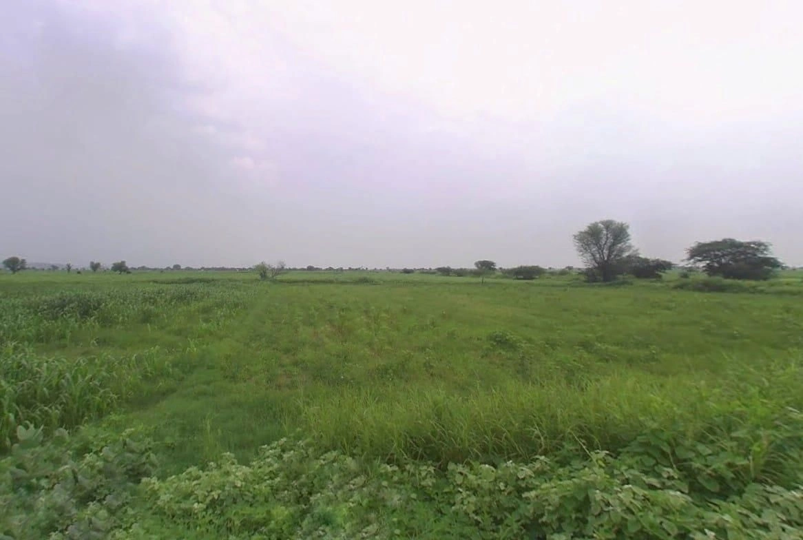 H2WC+Q5W, Boodli, Rajasthan 321024, India