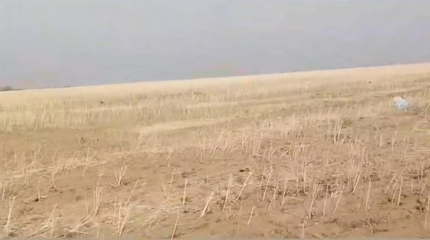 34C3+464, Manikpur, Pata, Uttar Pradesh 210208, India preview 3