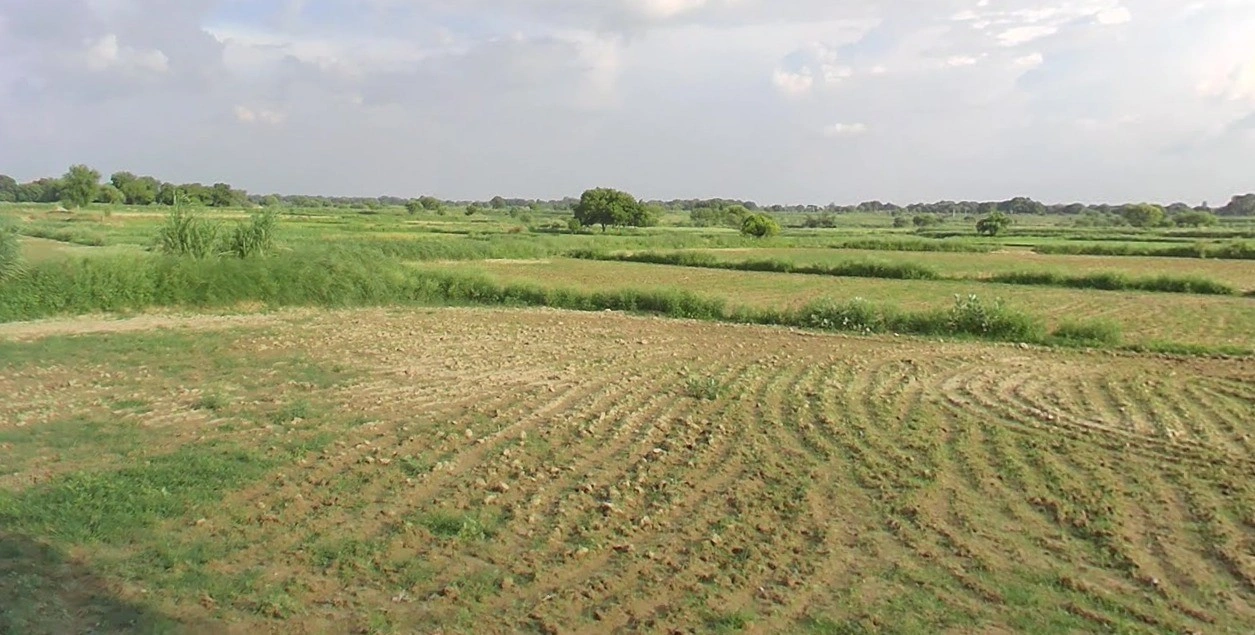 Nawagarh, Chhattisgarh 491337, India