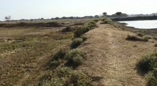 Meja Tehsil, Uttar Pradesh 212302, India preview 2