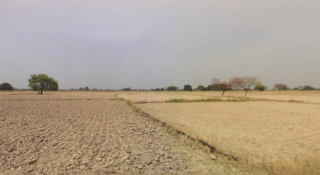 29XH+2CJ Tehsil, Barnagar, Madhya Pradesh 456771, India