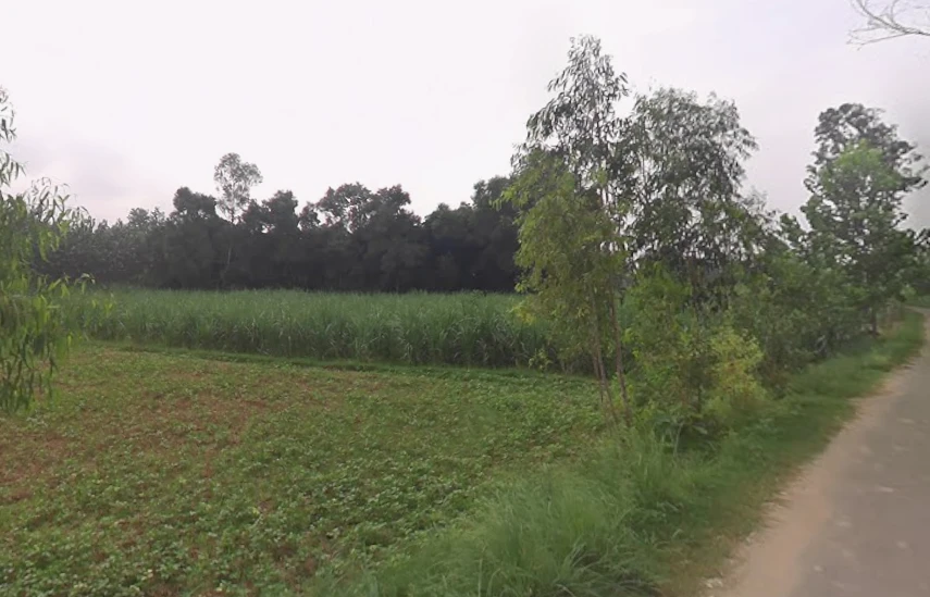 Sarsawa, Uttar Pradesh 247232, India