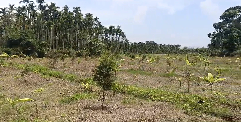 Alinagar, Chandauli, Uttar Pradesh 232101, India