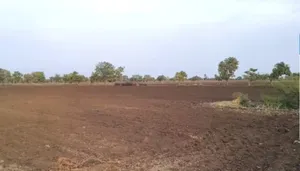 Jalanpur, Madhya Pradesh, India preview 2