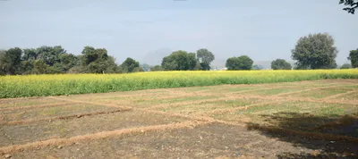 Rajpura, Punjab, India preview 2