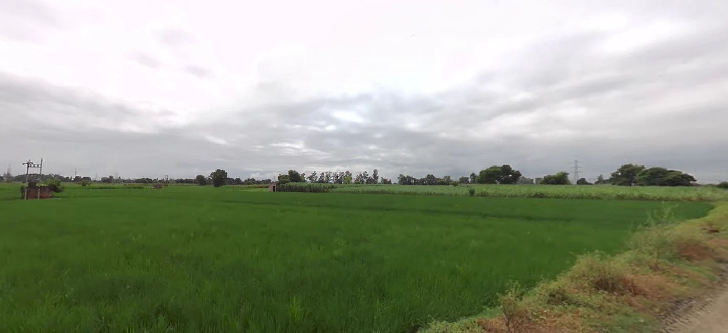 Samalkha, Haryana, India