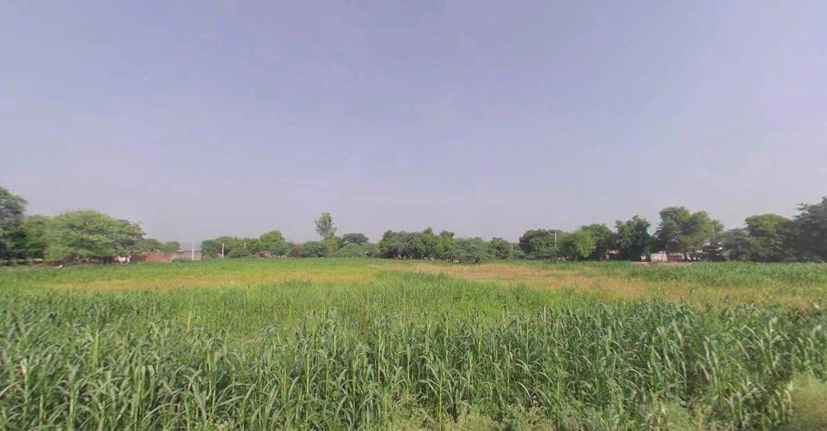 Bilond, Rajasthan 321022, India