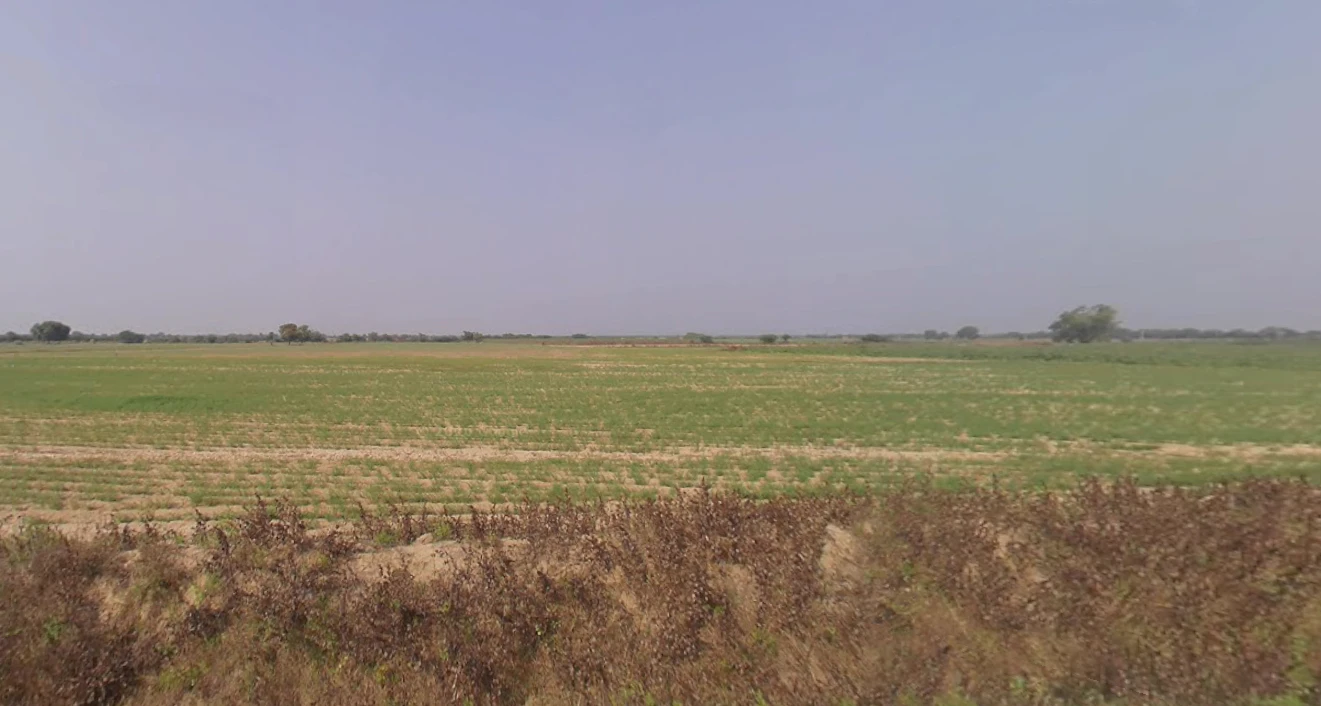 Budheli, Gujarat, India