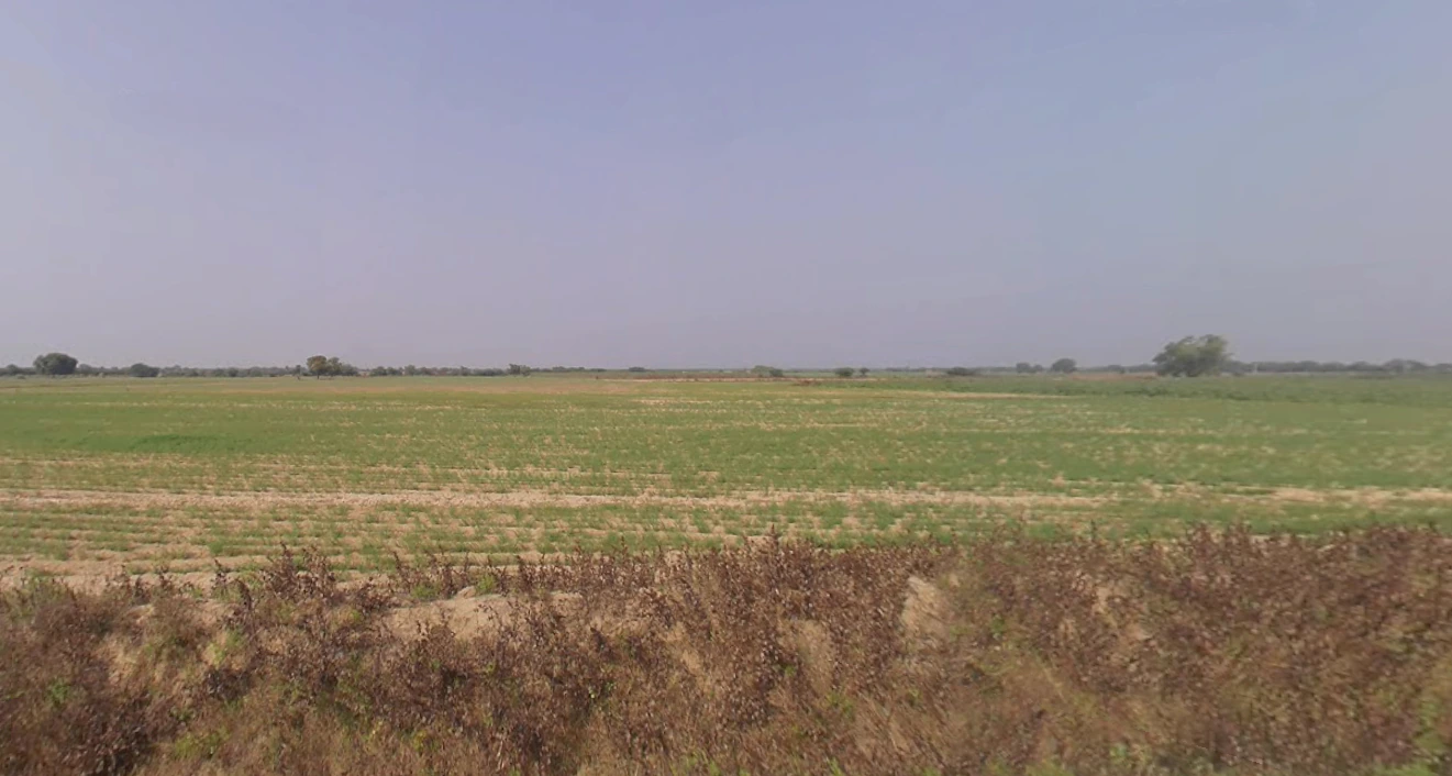 Budheli, Gujarat, India