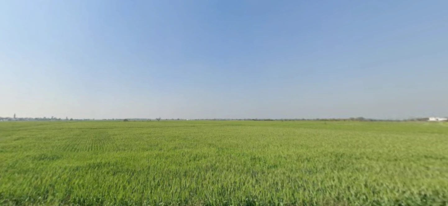 Rojda, Rajasthan 302012, India