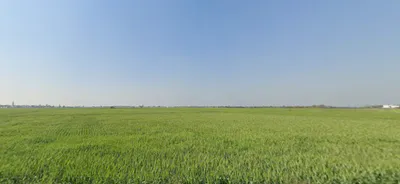 Rojda, Rajasthan 302012, India preview 3