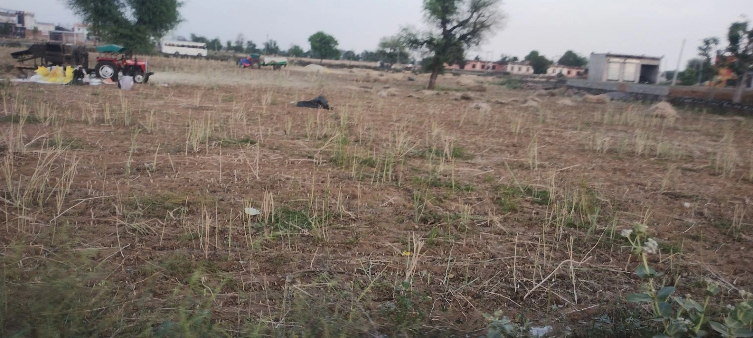 Barodameo, Rajasthan 301021, India preview 4