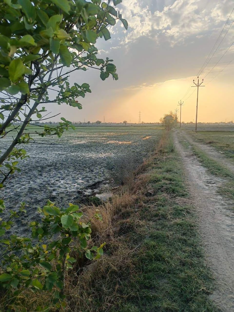 Sankhi, Uttar Pradesh 281401, India