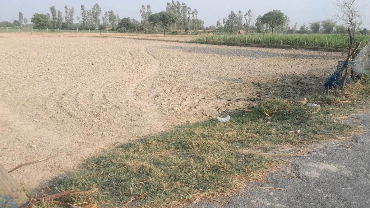 P559+4C Birauli, Uttar Pradesh, India