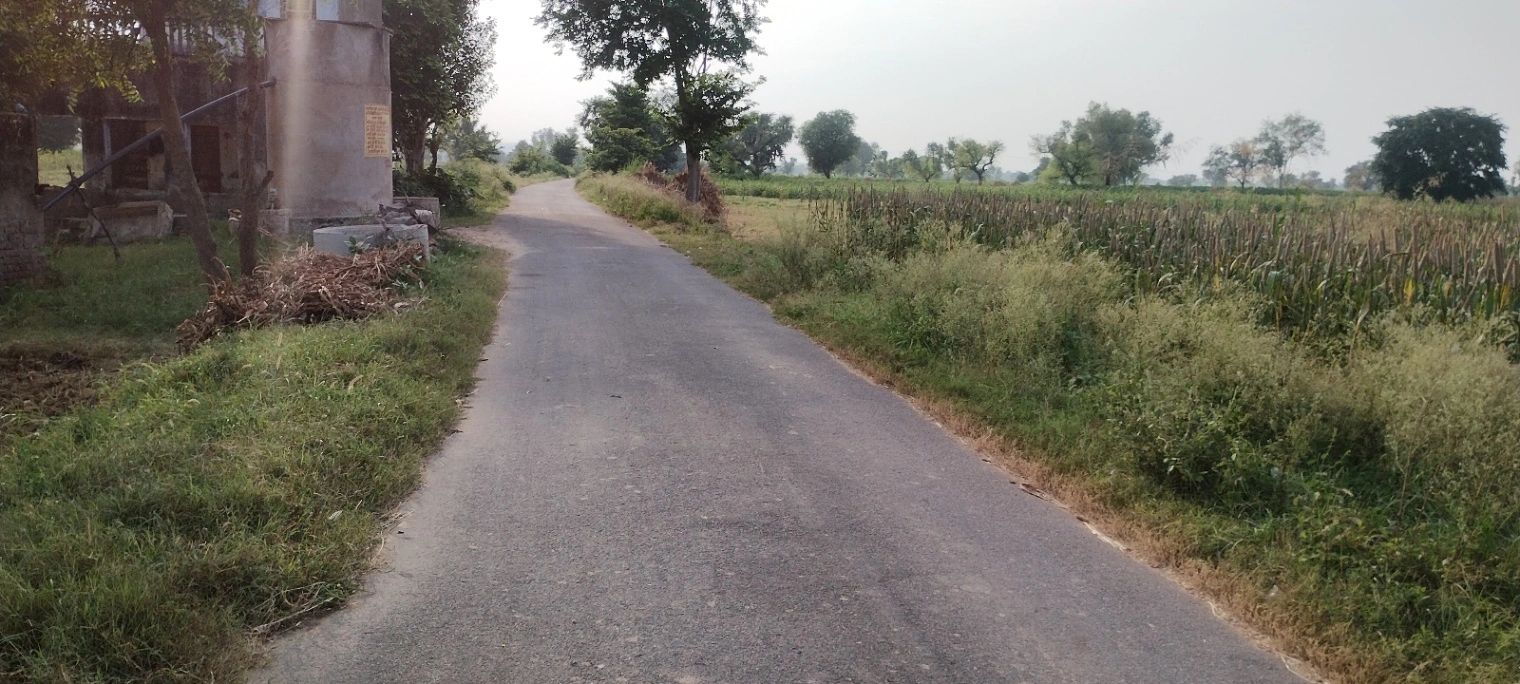 Dhand, Rajasthan 301021, India