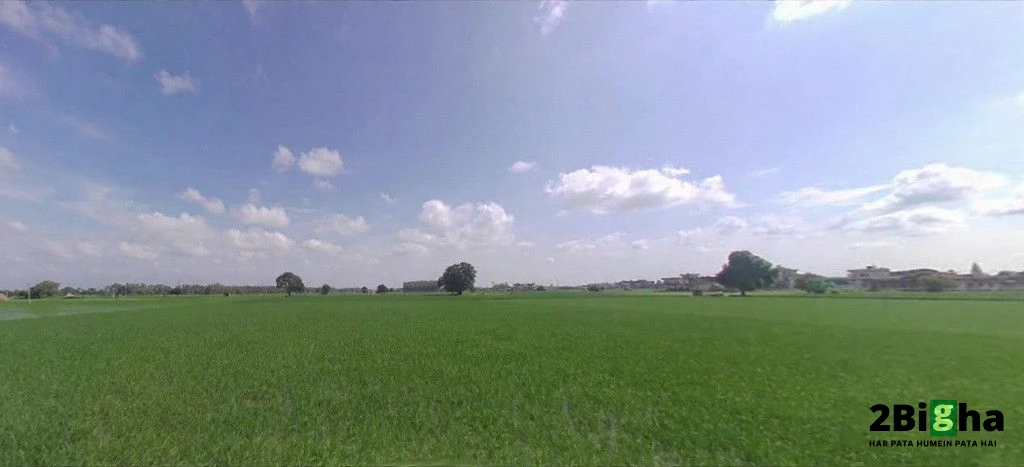 Nilokheri, Haryana 132117, India