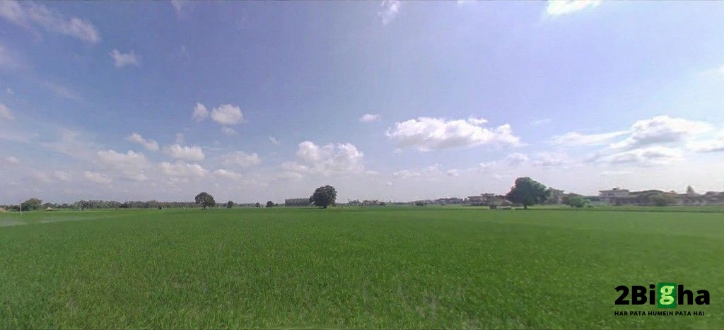Nilokheri, Haryana 132117, India
