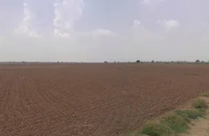 Mohra, Haryana, India preview 2