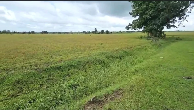 Amapani, Madhya Pradesh 464884, India preview 2