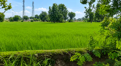Khataua, Bareilly, Uttar Pradesh 262406, India preview 3