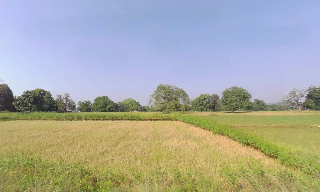 Duldula, Chhattisgarh 493101, India