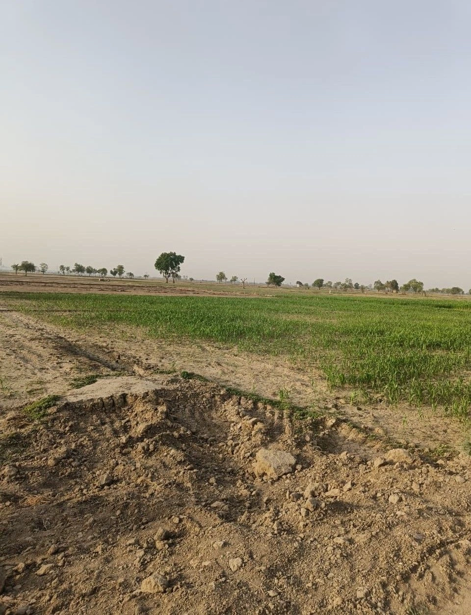 GGCJ+PGQ, Alwar, Paitpur, Rajasthan 301001, India