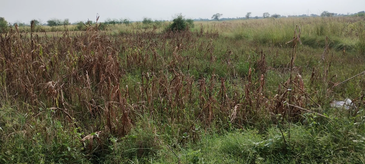 Nagla Faujdar, Rajasthan 321203, India