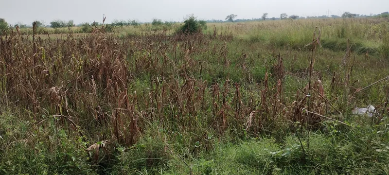 Nagla Faujdar, Rajasthan 321203, India preview 4