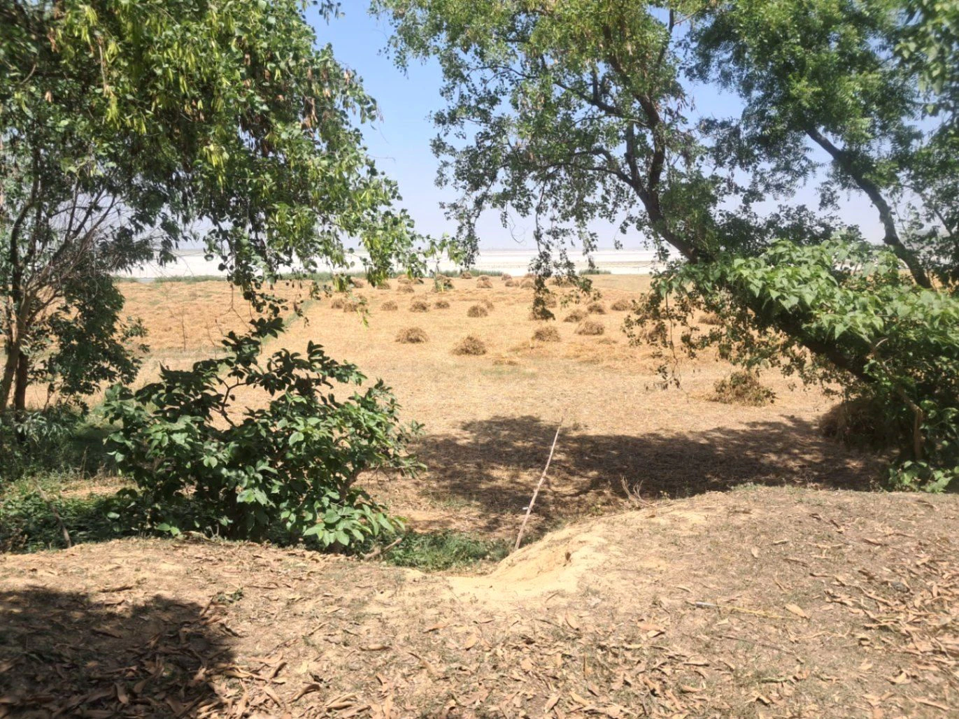 Bharat Kund, Uttar Pradesh 224202