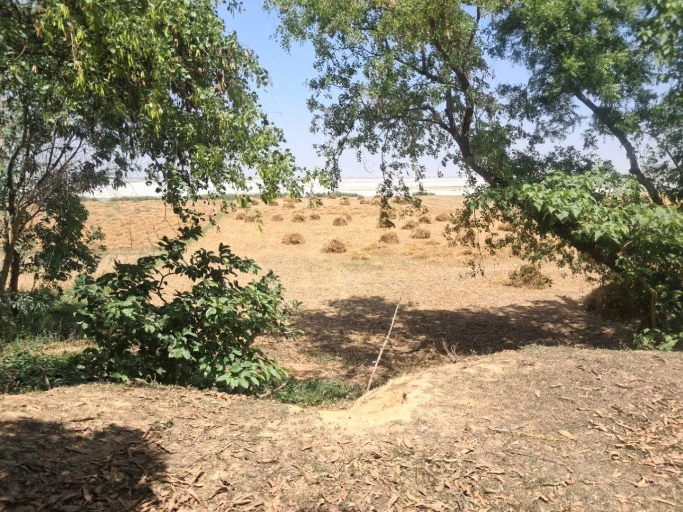 Bharat Kund, Uttar Pradesh 224202