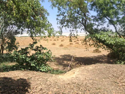 Bharat Kund, Uttar Pradesh 224202 preview 3