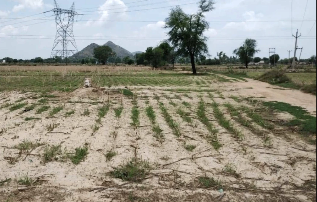 Barnagar, Madhya Pradesh 456771, India