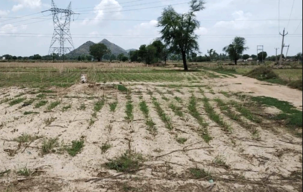 Barnagar, Madhya Pradesh 456771, India