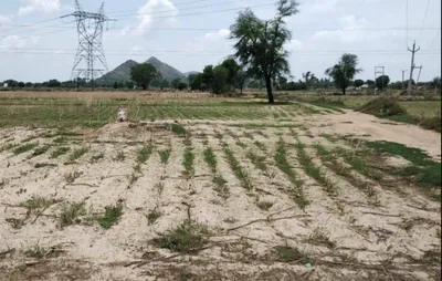 Barnagar, Madhya Pradesh 456771, India preview 2