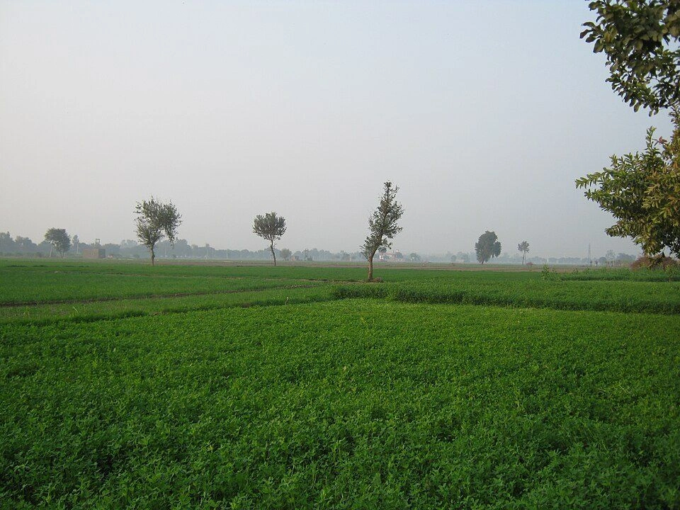 Raipur, Rajasthan 311803, India preview 2