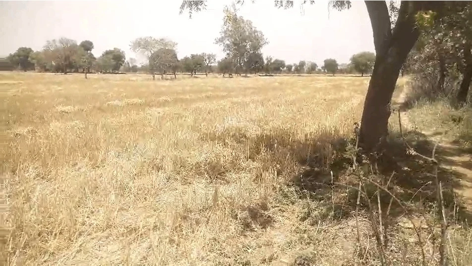 Devendrapura, Madhya Pradesh, India