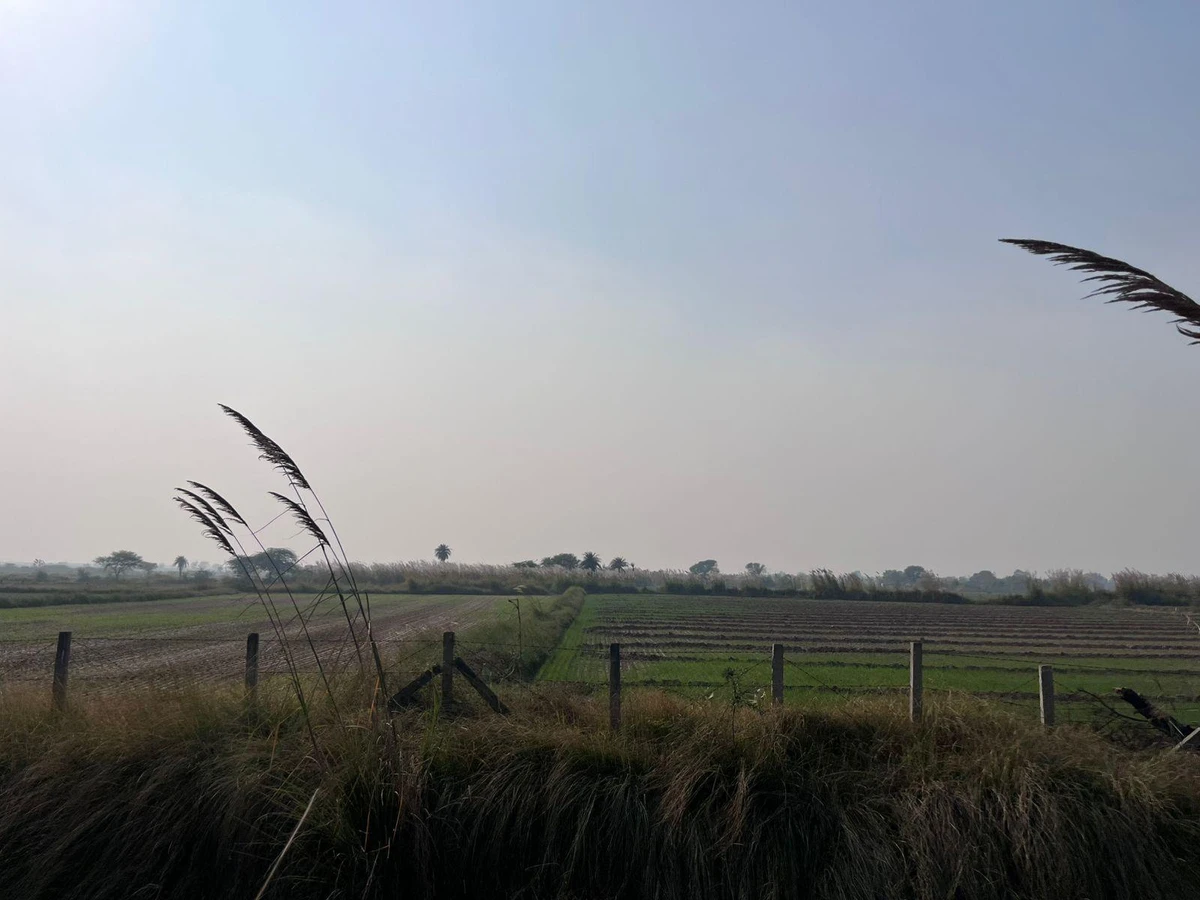 Kherli Jita, Haryana 122103, India