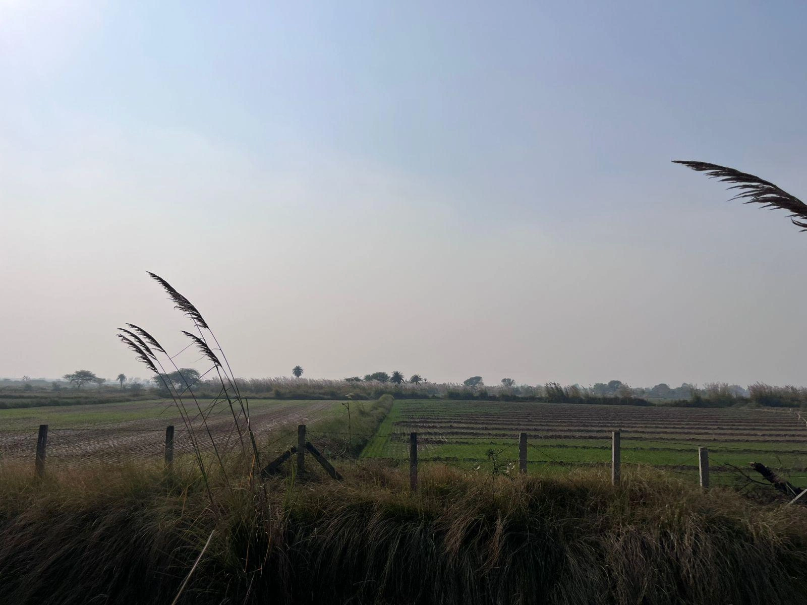 Kherli Jita, Haryana 122103, India